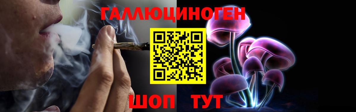 Псилоцибиновые грибы Psilocybine cubensis Ижевск